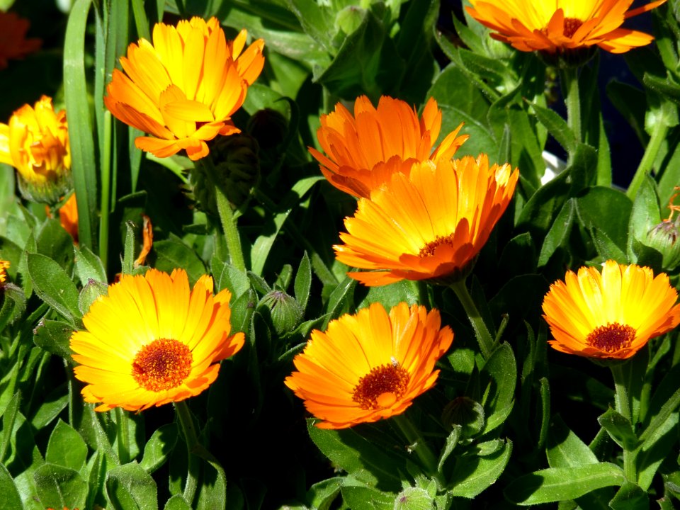 P1300093