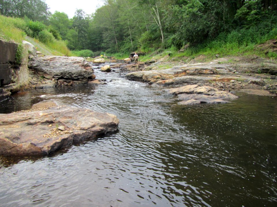 Norton Mill Dam Post-removal (Aug2017) Credit  Sally Harold TNC
