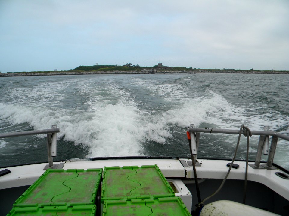 Great Gull Island, NY