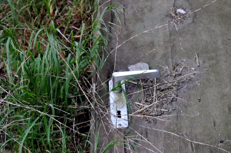 Mit der Tür in den Garten fallen