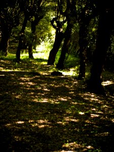 20070520-33