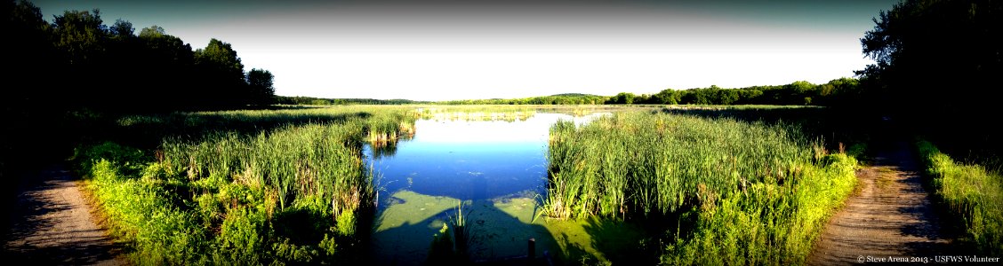 Lower Pool - Great Meadows NWR - a panoramic view photo