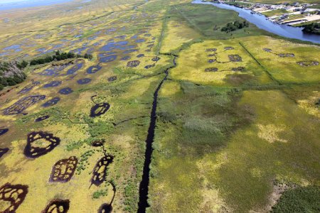 Marsh and bogs at Edwin B. Forsythe National Wildlife Refuge