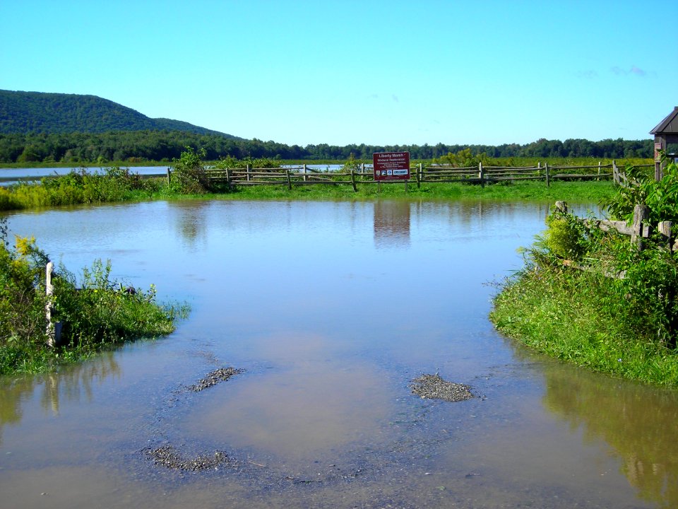 Flooding at WallKill River Refuge