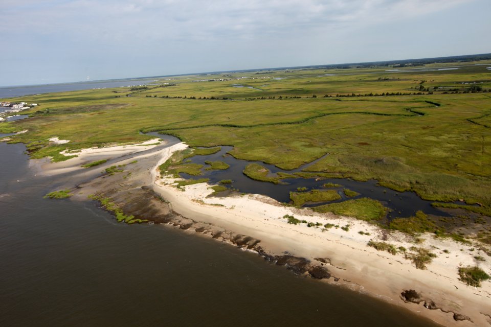 Plans for Eastern Neck National Wildlife Refuge