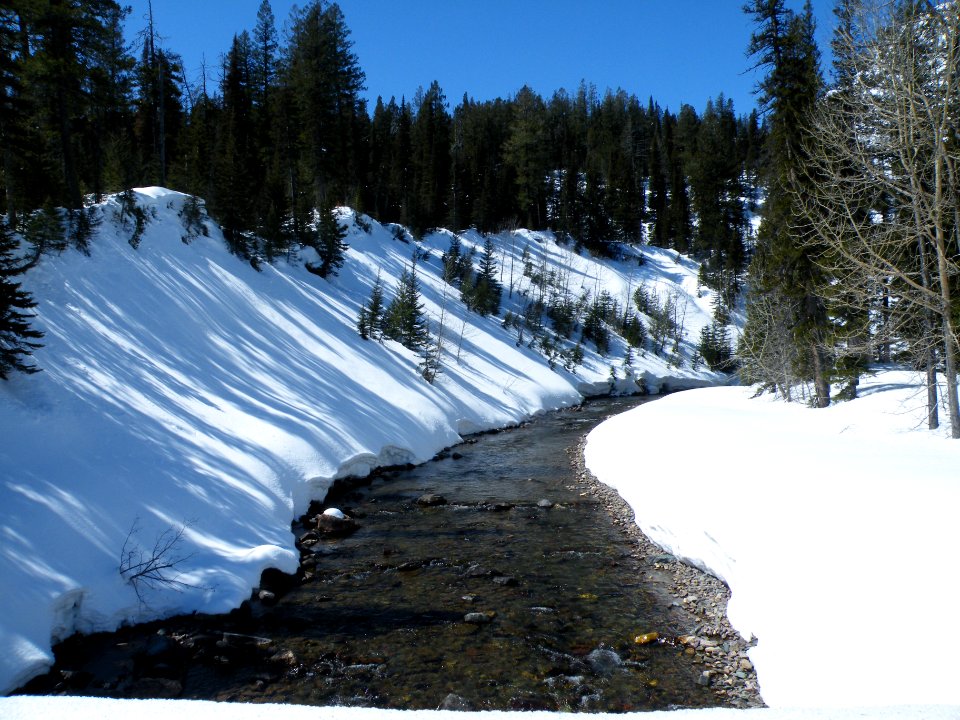 Two Medicine Creek