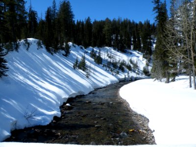 Two Medicine Creek