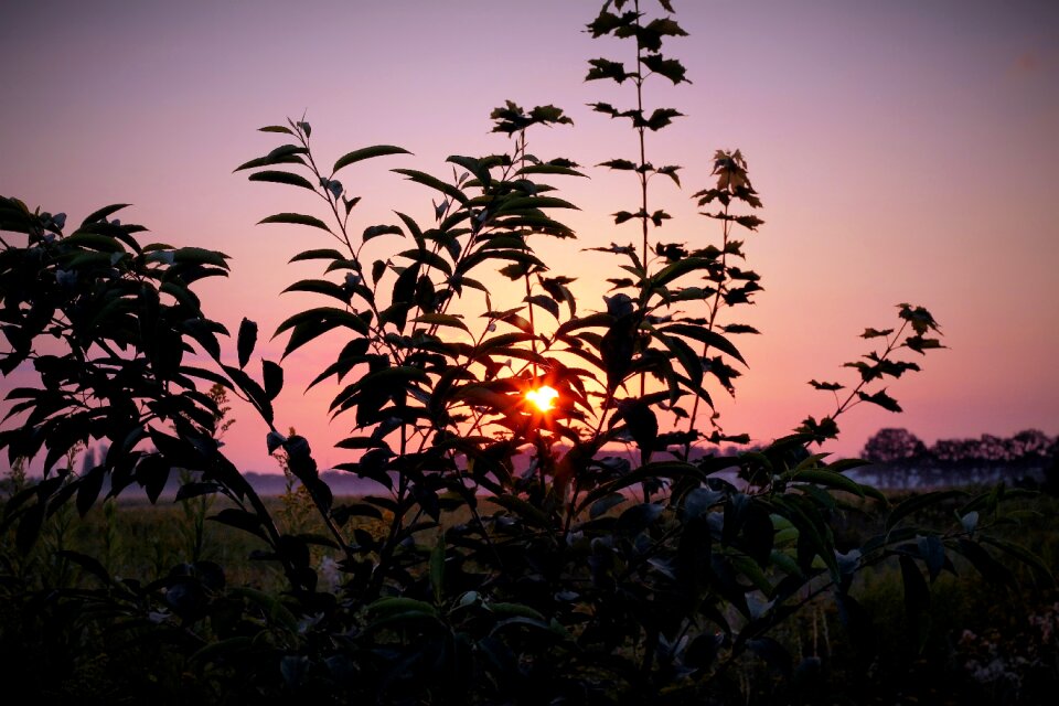 Sky nature morgenstimmung