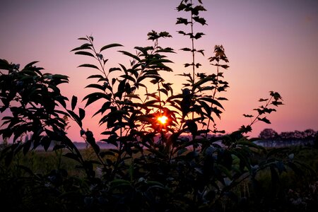 Sky nature morgenstimmung photo