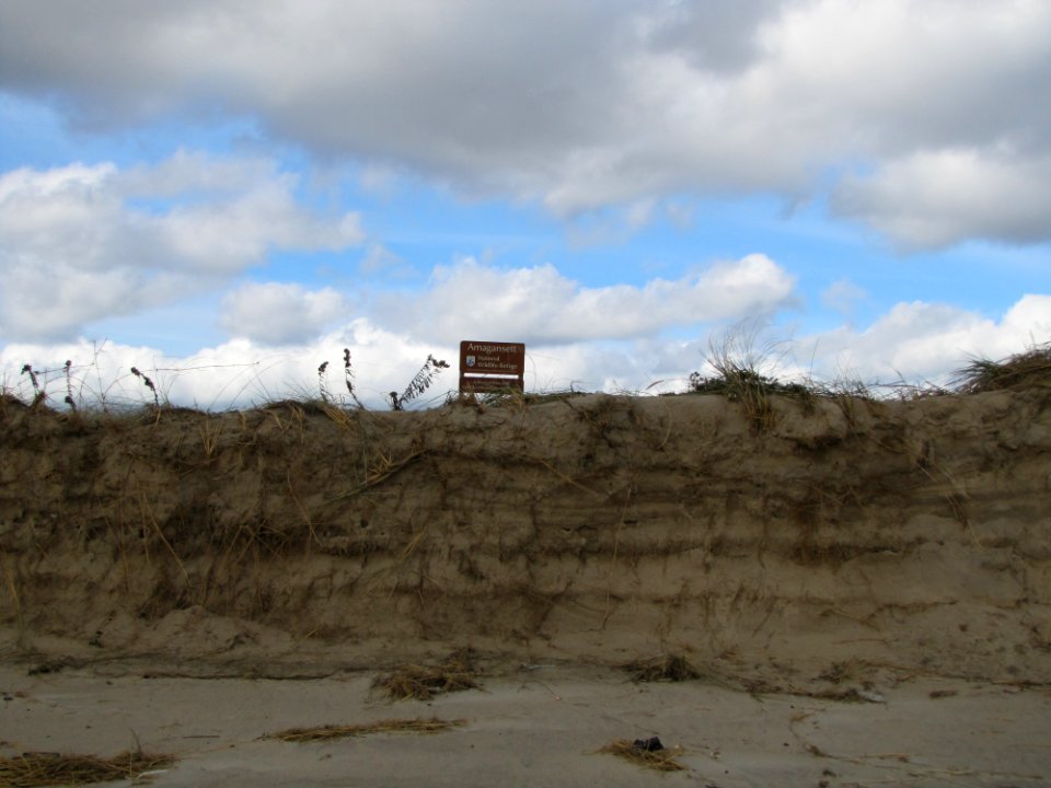 Dune damage at Amagansett National Wildlife Refuge (NY)