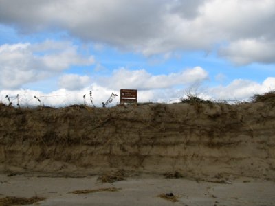 Dune damage at Amagansett National Wildlife Refuge (NY)