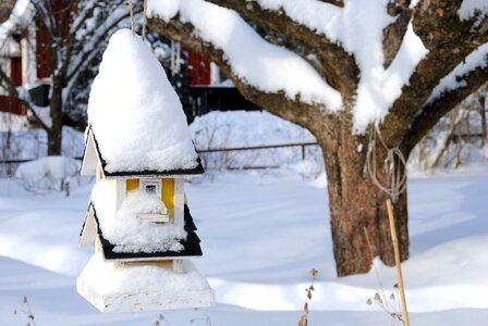 Winter tribe snow photo