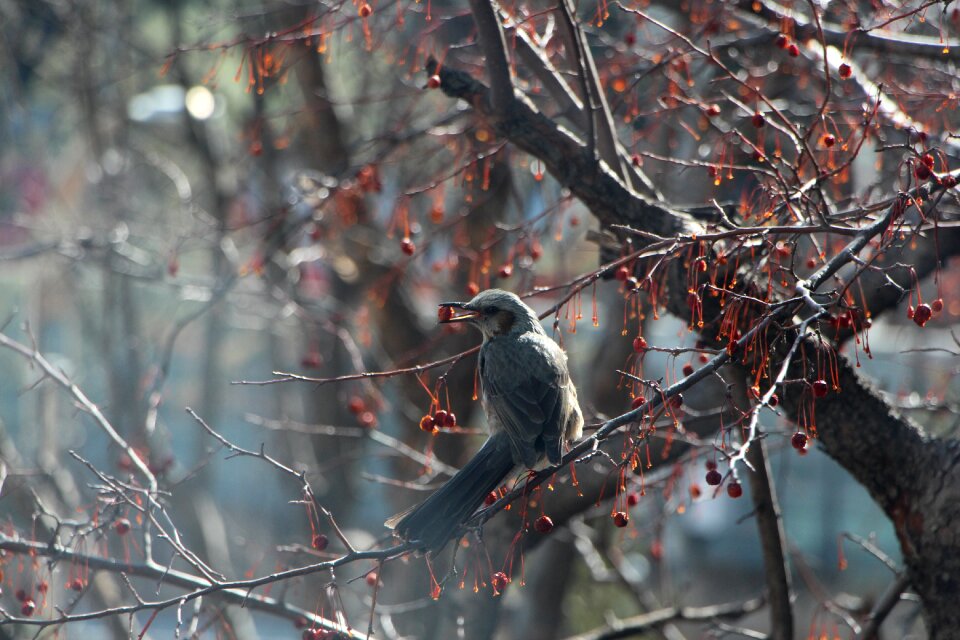 Loneliness yearning snow