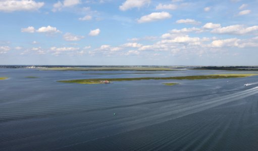 Day 1 - Long Island NWR (NY)