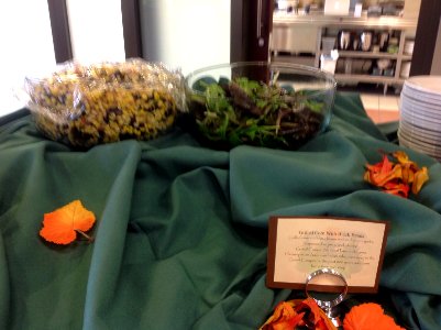 National Park Services Function