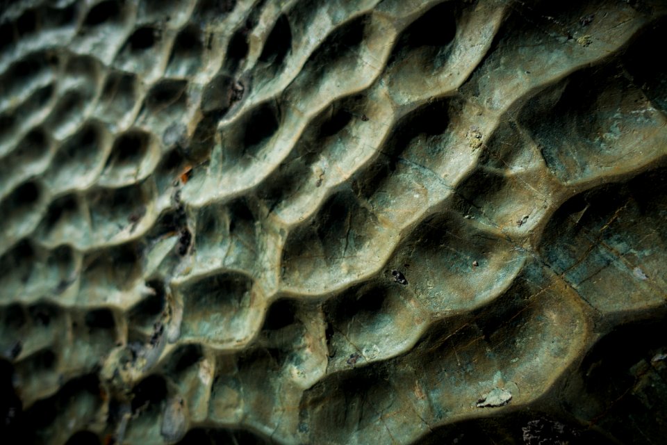 Green Ripples photo