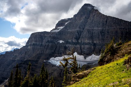Sexton Glacier and a Whitebark Pine photo