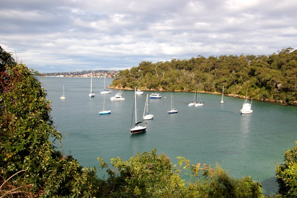 Taronga-Middle-Head-060716-021