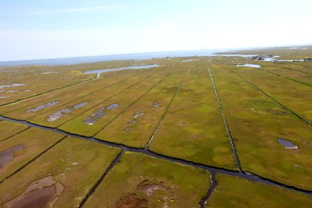 Day 2 - Forsythe National Wildlife Refuge Flyover