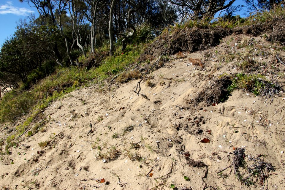 Bundeena-100816 17