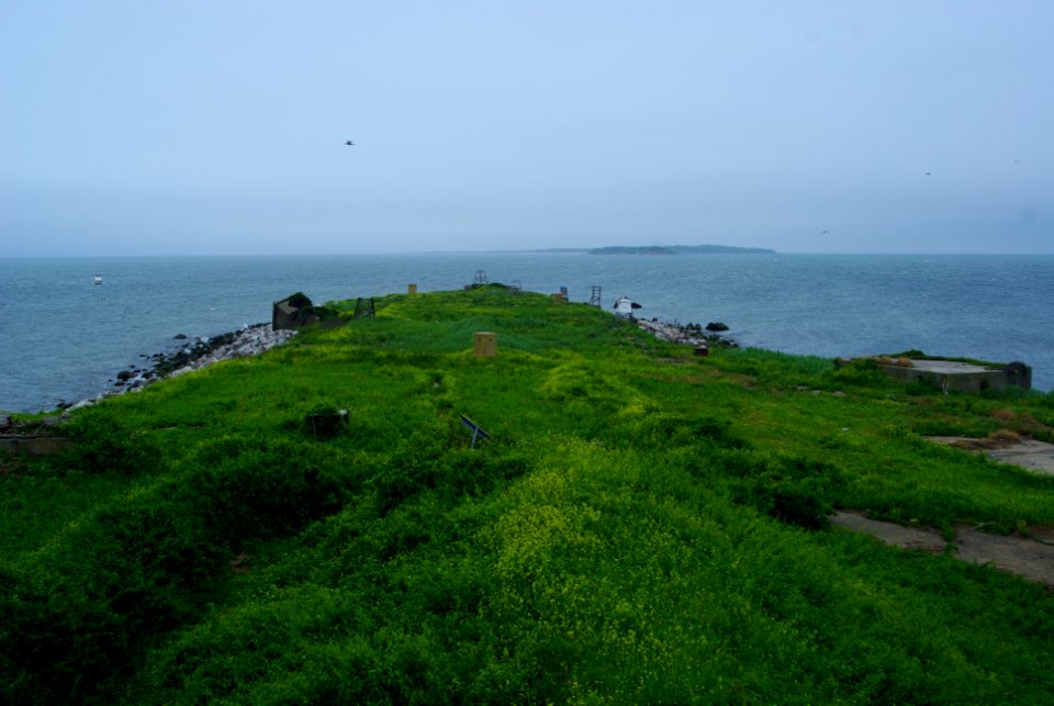 Great Gull Island, NY