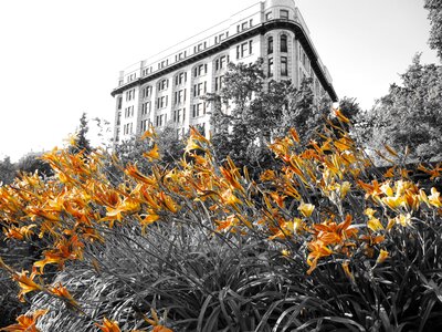 Building victoria garden british columbia