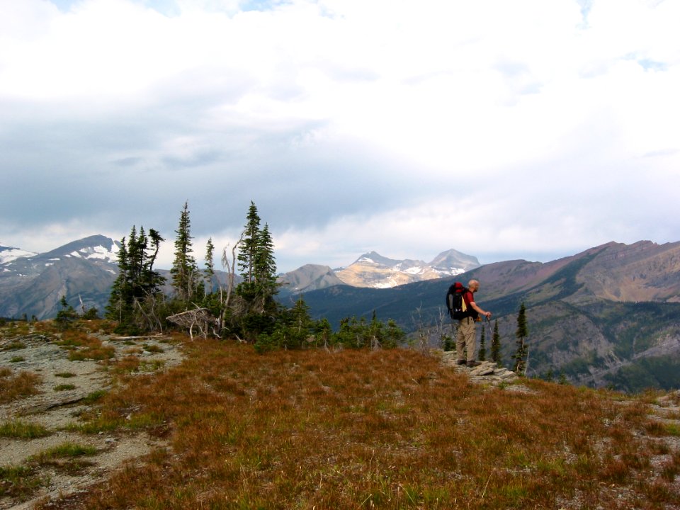 On the Trail Near Fifty Mountain Camp
