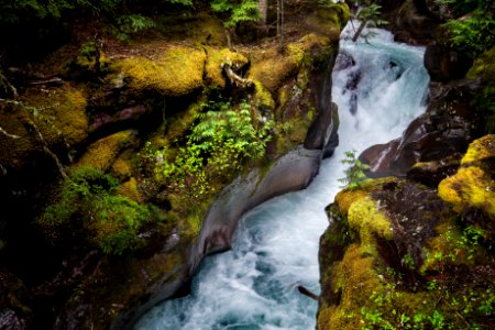 Trail of the Cedars - Canyon View