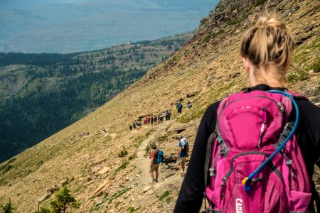 Crowds of Hikers above Granite Park Chalet and Bighorn Sheep photo