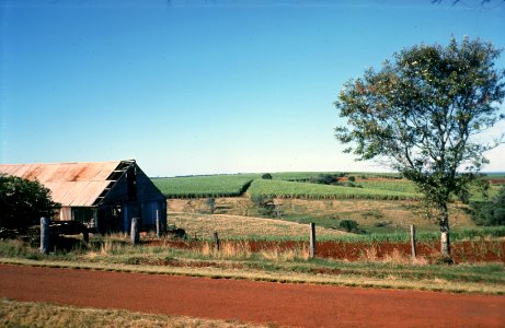Isis Shire (1976) photo