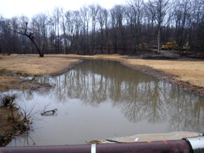 Dewey's and Quantico Creeks Restoration photo