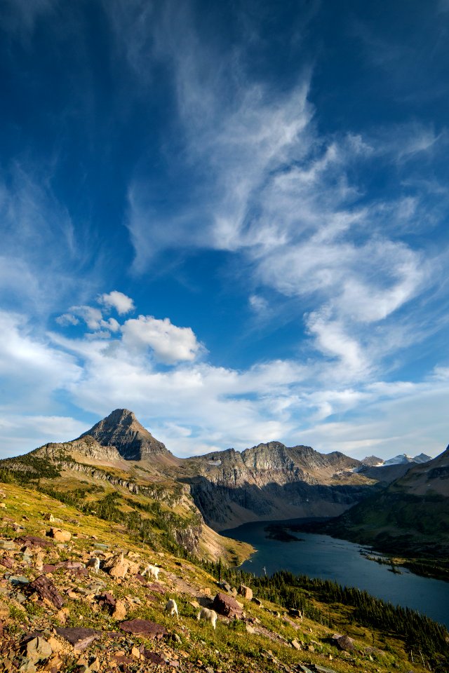 hidden Lake- August Evening With The Goats B