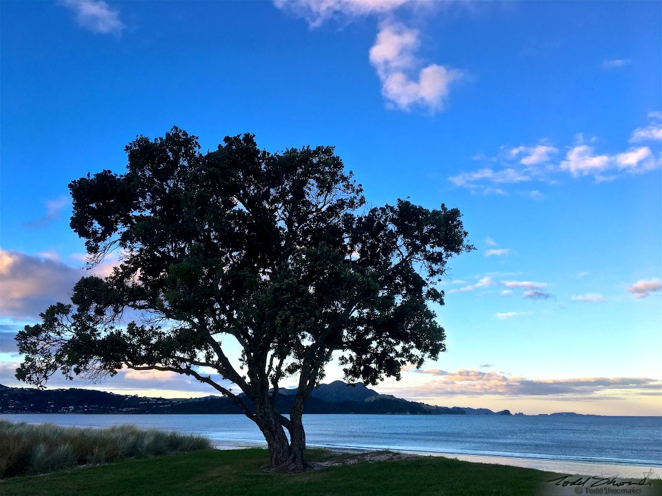 2017 03 NewZealand iPhone 19