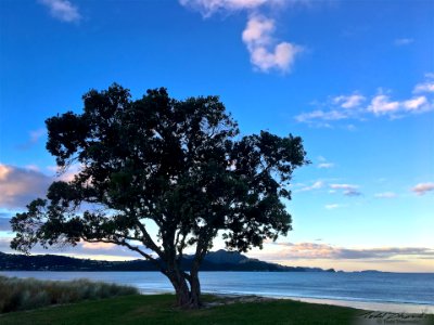2017 03 NewZealand iPhone 19