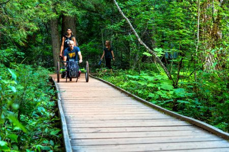 Avalanche Lake Hike with Off-road Wheelchair 17 photo