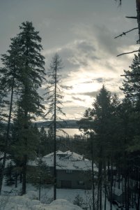 Flathead Valley through the Trees