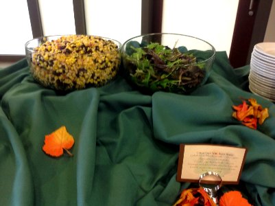 National Park Services Function