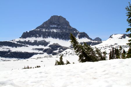 Reynolds Mountain in late June 2013