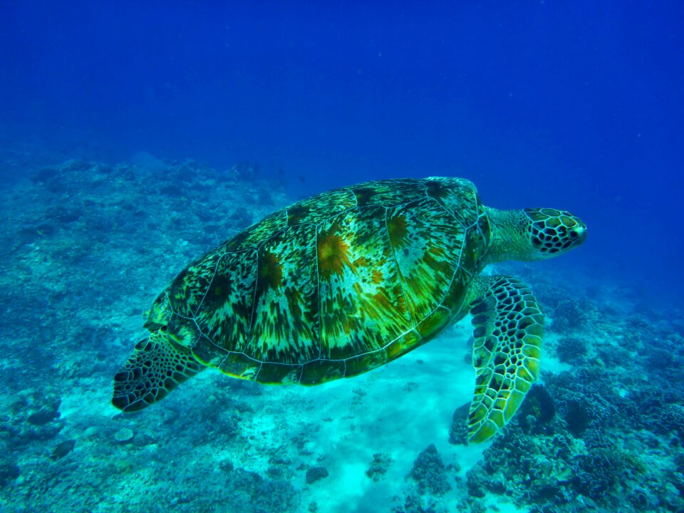 Sea water underwater