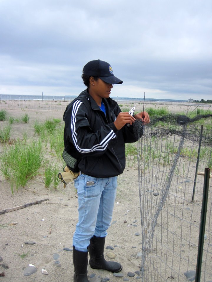 Protecting Piping Plovers