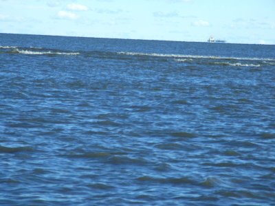 Flooding at Prime Hook National Wildlife Refuge (DE)