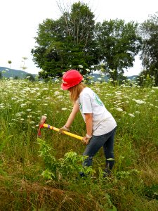 Controlling invasive species