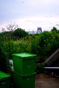 Great Gull Island, NY
