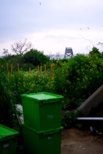 Great Gull Island, NY photo