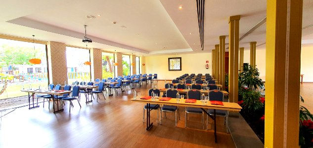 Sala/meeting room El Puntal