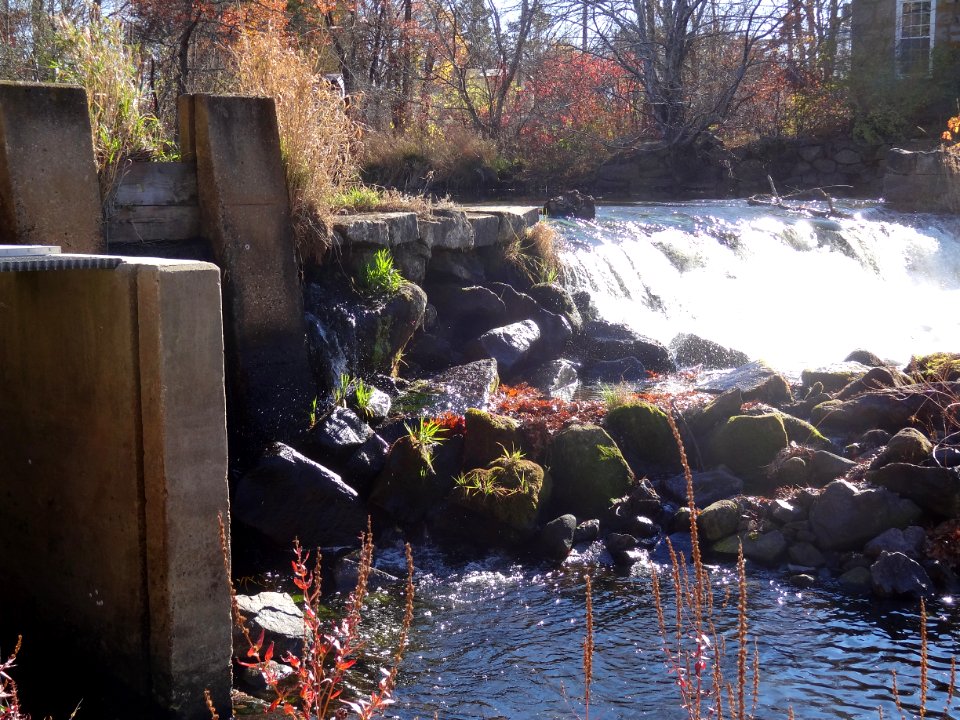 Bradford Dam - down river, before removal