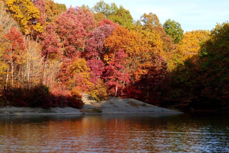 Alum Creek Lake Fall 2015