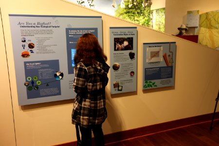 Student interacts with an exhibit
