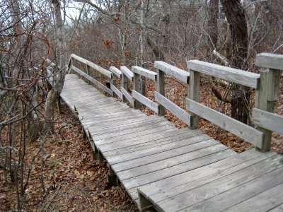 Morris Island Trail