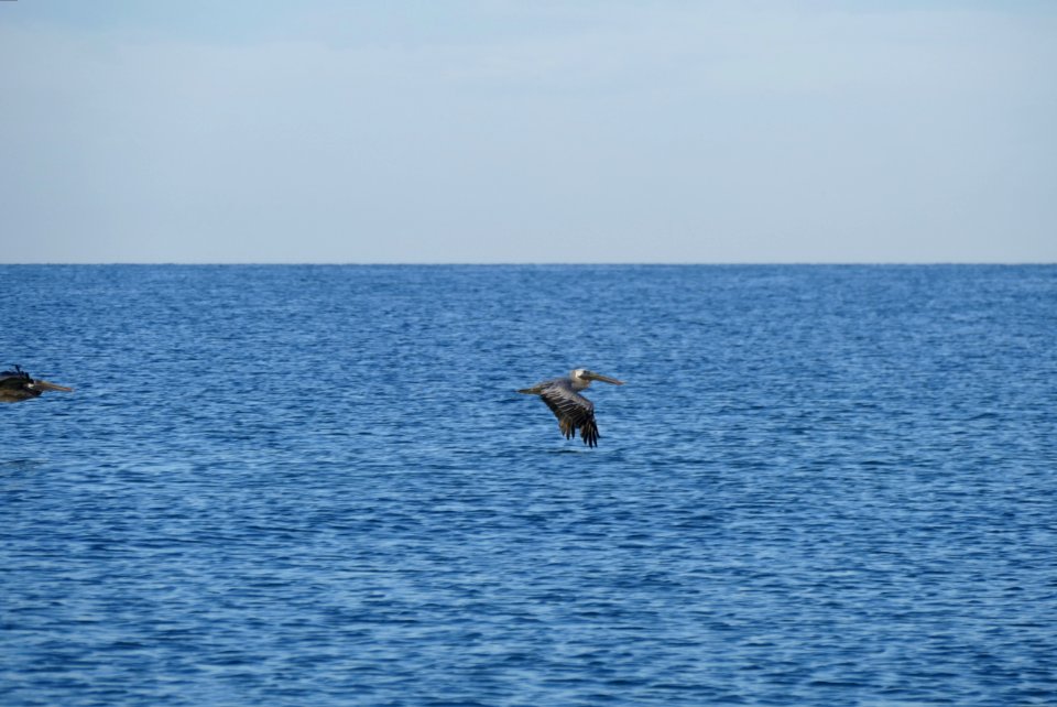 Pass-A-Grille Beach